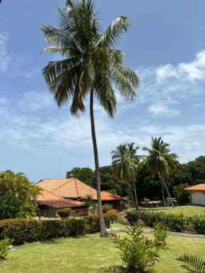 Studio Oiseau du Paradis